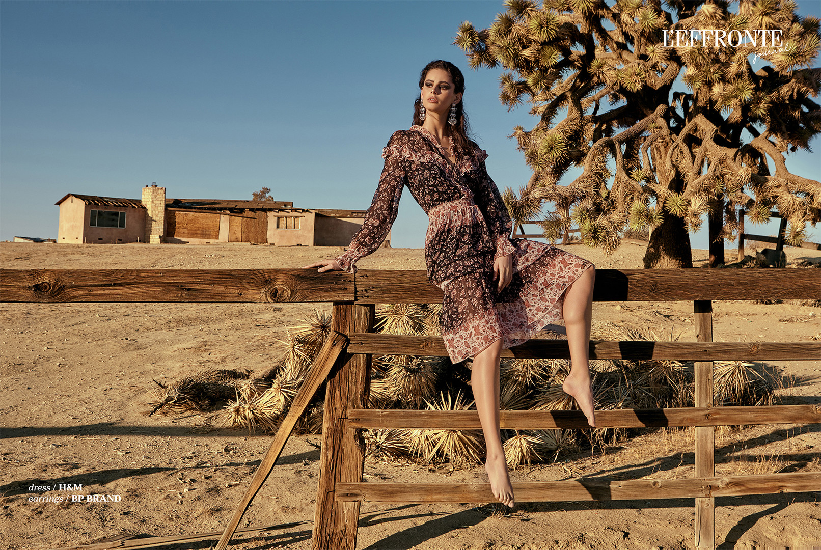 Desert Winds for L'EFFRONTE Journal