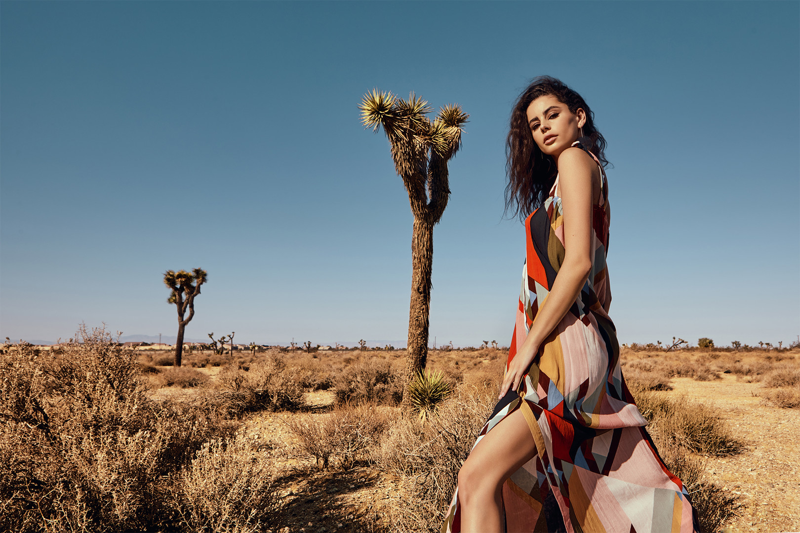 Desert Winds | Editorial