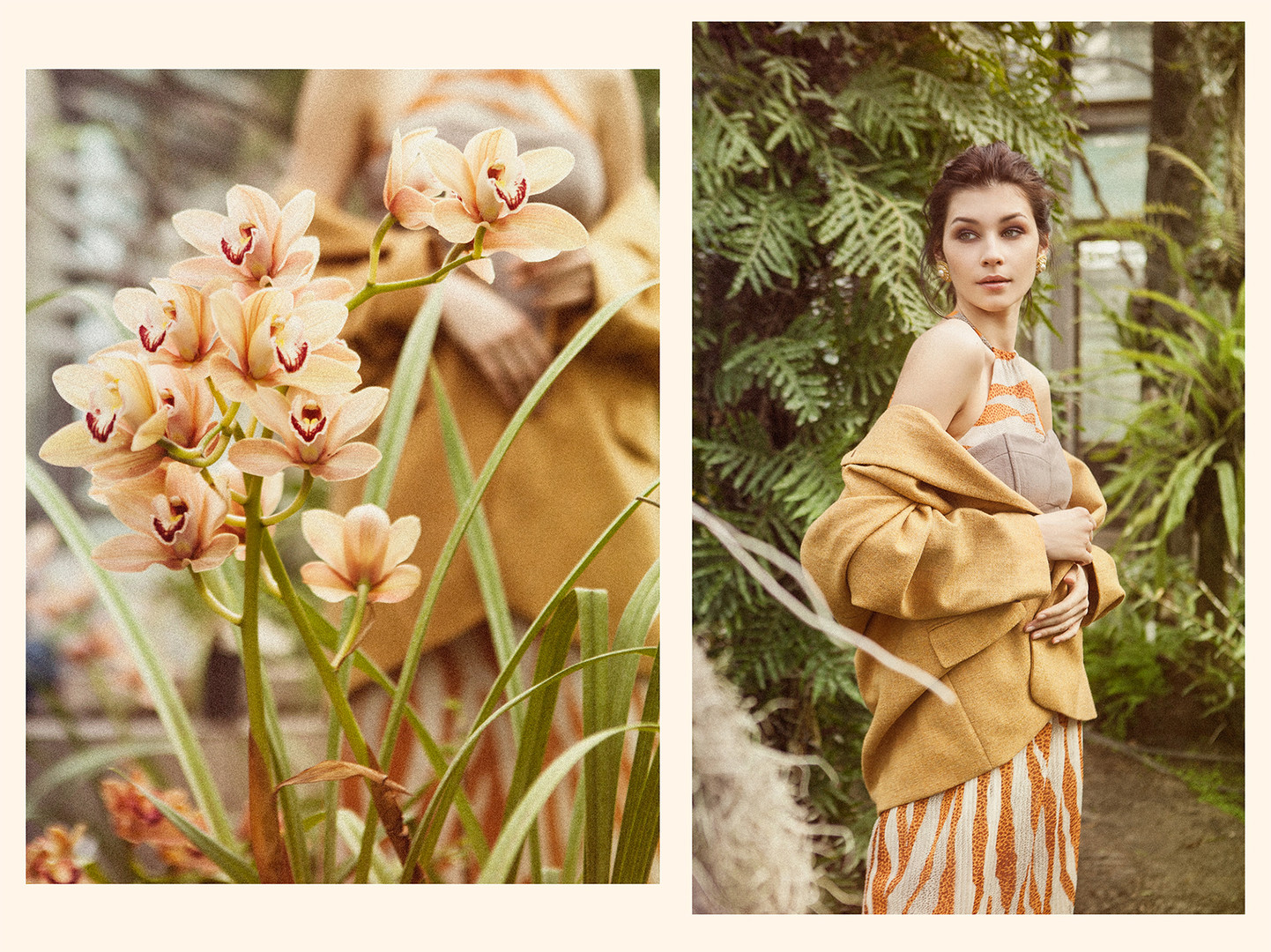 Wild Orchid | Fashion Story