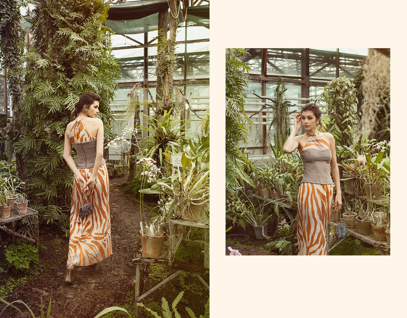 Wild Orchid | Fashion Story