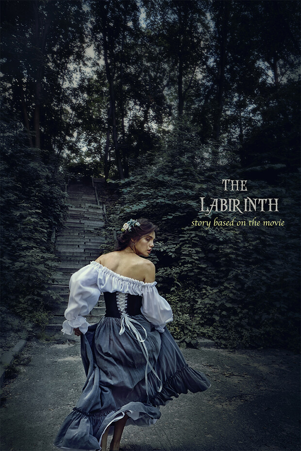 the LABYRINTH | story based on the movie
