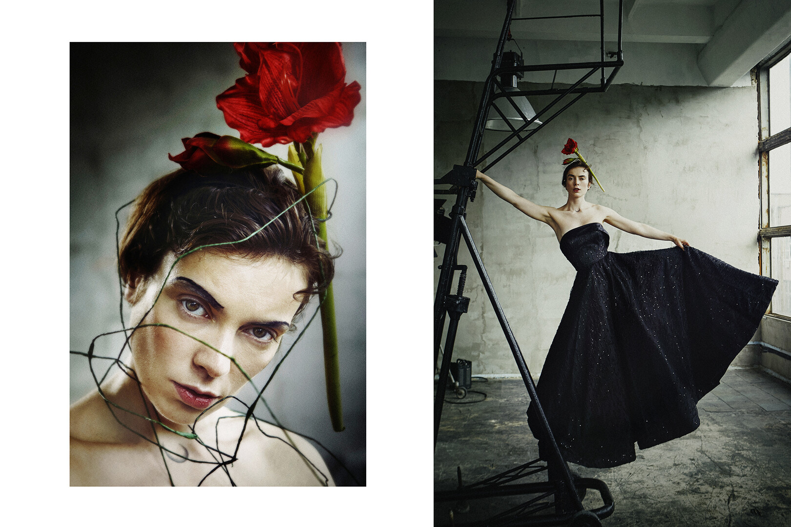 Metamorphosis | Art Project