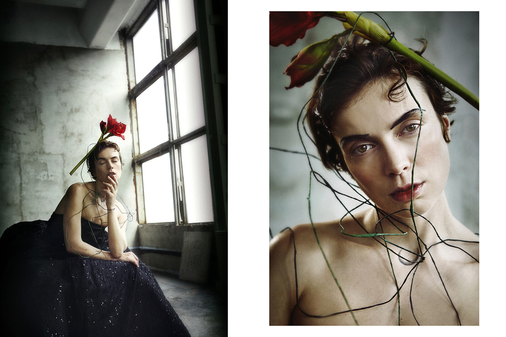 Metamorphosis | Art Project