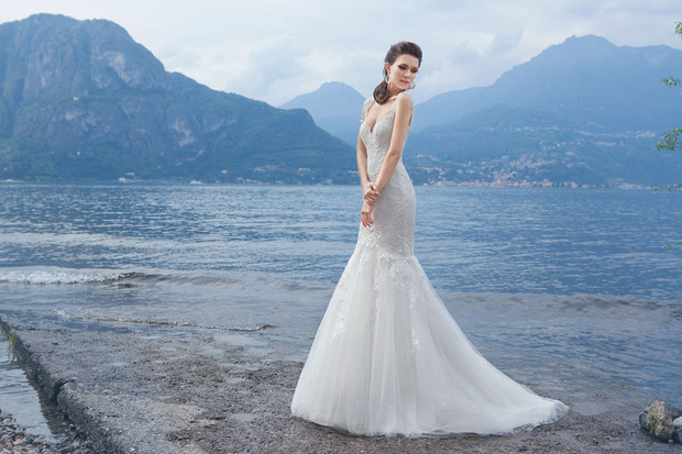 Gabbiano | Felicita by Massimo Longi