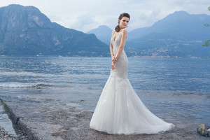 Gabbiano | Felicita by Massimo Longi